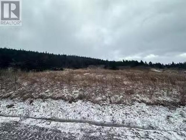 6B Top Road, Branch, NL, A0B 1E0 vacant land for sale Listi.