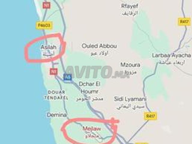 6هكتار للبيع محفضة