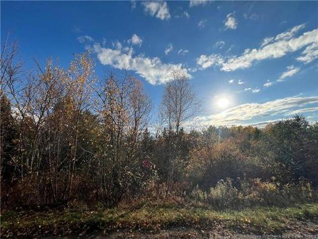 73 17 Tavener Terr, Picadilly, NB, E4E 3X2 vacant land for sale | Listing ID NB138596 | Royal LePage