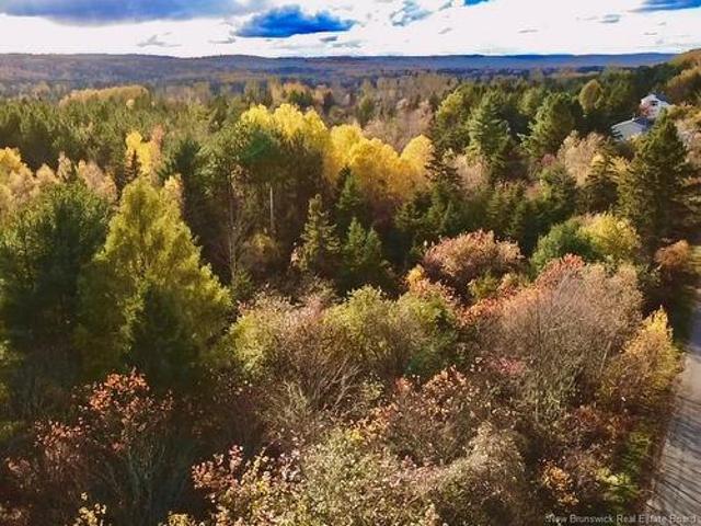 73 18 Tavener Terr, Picadilly, NB, E4E 3X2 vacant land for sale | Listing ID NB138618 | Royal LePage