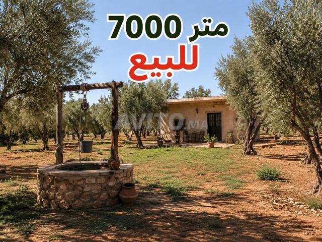 7000 mètres à vendre