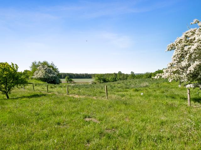700 0 Rådvedvej 73 Villa med potentiale og stor grund i naturskønne omgivelser RealMæglerne