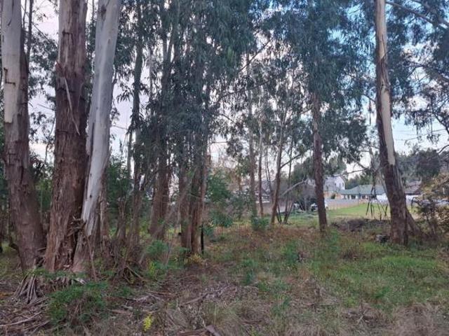 700 m² Land available in Dullstroom