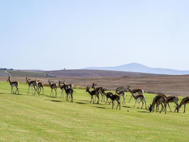 700 m² Land available in Mount Royal Golf Estate