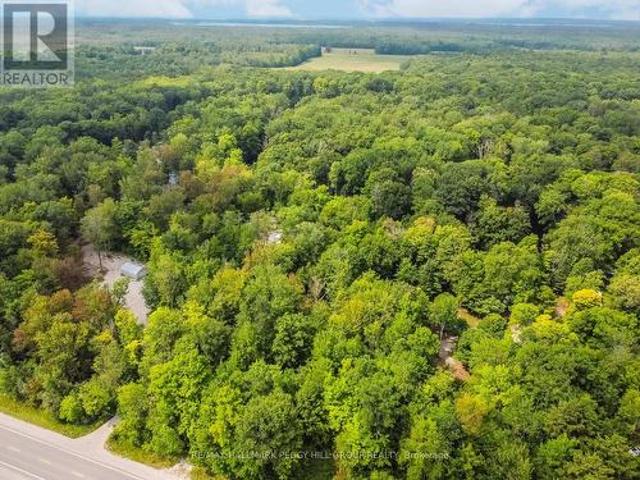7012 County Road 169, Ramara, ON, L0K 2B0 vacant land for sale | Listing ID S13473 | Royal LePage