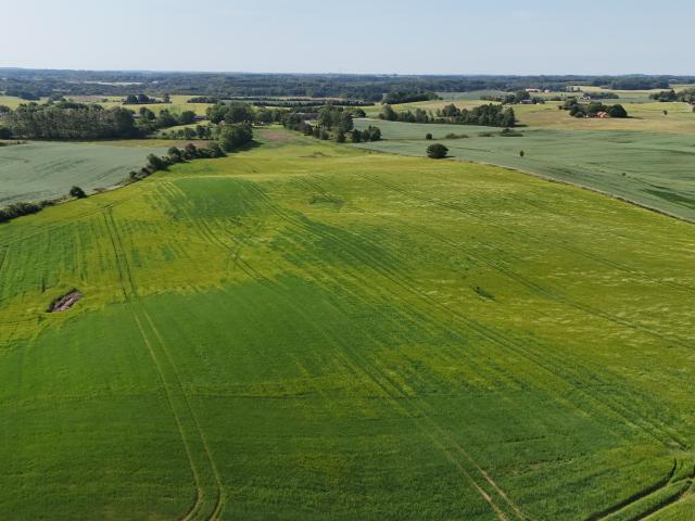 701 7 Holtumvej 58, Holtum Unik landejendom med egen sø, park lignende have og smuk udsigt RealMæglerne