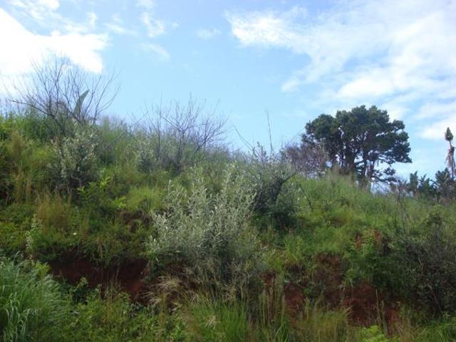 704 m² Land available in Marburg