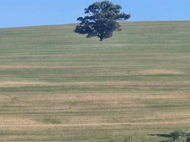 705 m² Land available in Malmesbury