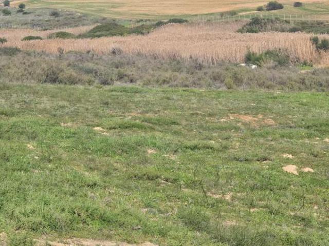 705 m² Land available in Mount Royal Golf Estate