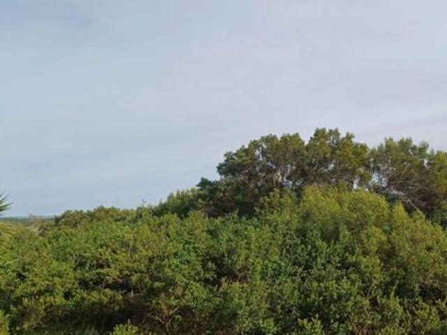 709 m² Land available in Paradise Beach