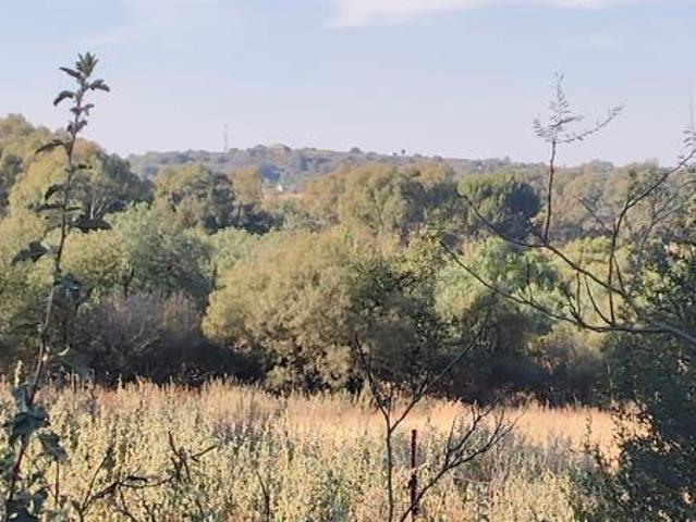 70 ha Land available in Groenvlei SH