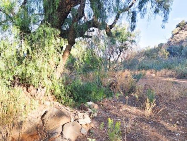 70 ha Land available in Groenvlei SH