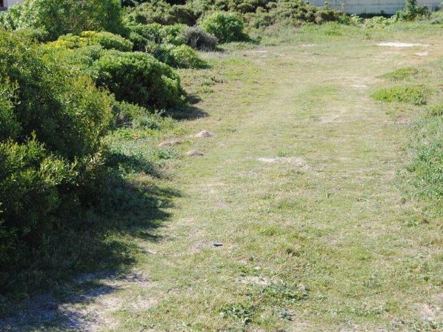 714 m² Land available in Sandbaai