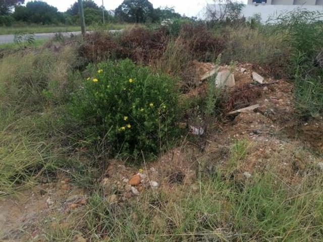 717 m² Land available in Wavecrest