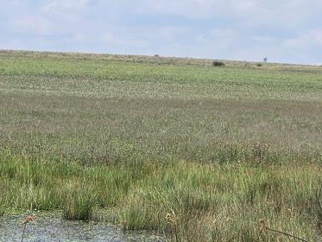 71 ha Land available in Magaliesburg
