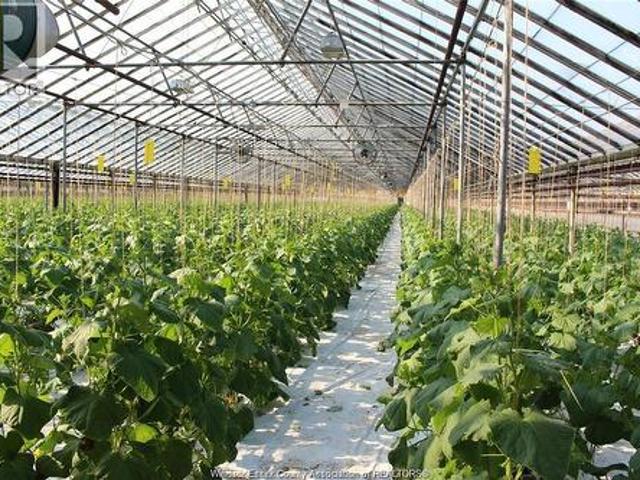 725 Mersea Rd 6 East, Leamington, ON, N8H 3V8 farm for sale | Listing ID 26013 | Royal LePage