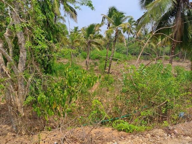 726 Sq.Yd. Plot in Kodibag Karwar Listing ID: #10278