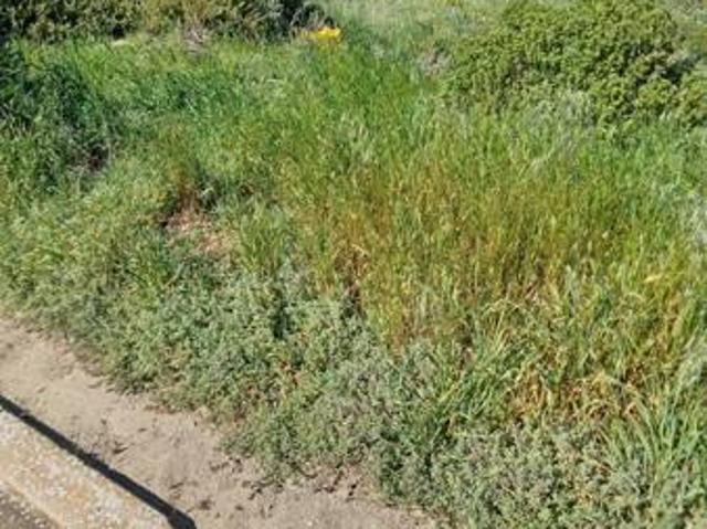 729 m² Land available in Hoogland