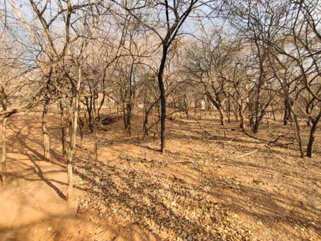 729 m² Land available in Leeupoort