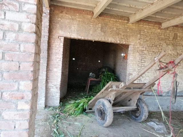72 acre top land for sale in shakargarh road nenacoat narowal Others Punjab Narowal ID 69926