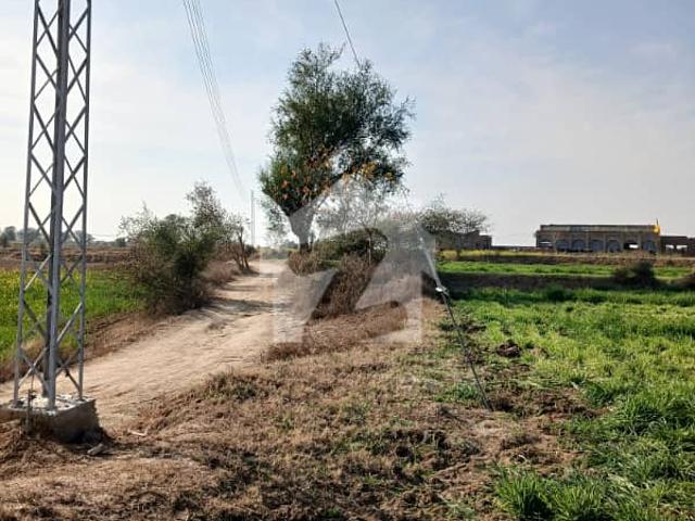 72 Kanal Agricultural For Sale In Chakwal
