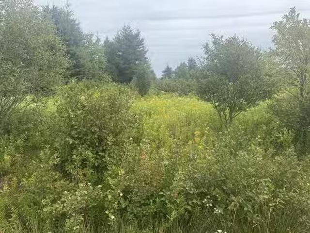 735 Clements Road, White Sands, PE, C0A 1W0 vacant land for.
