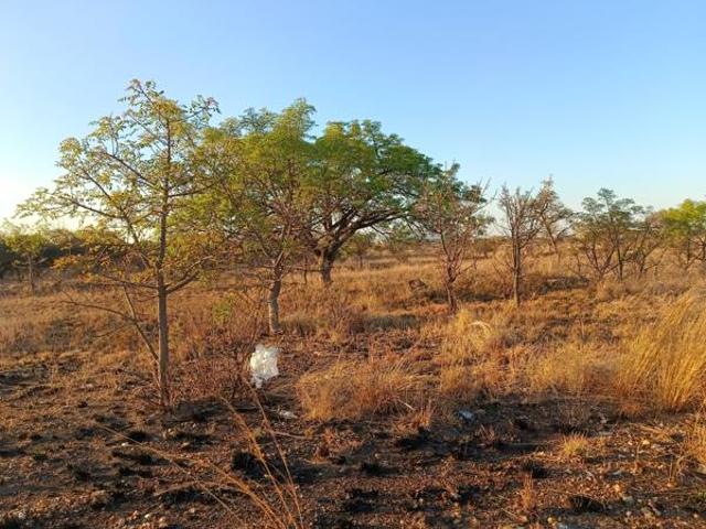 736 m² Land available in Bendor