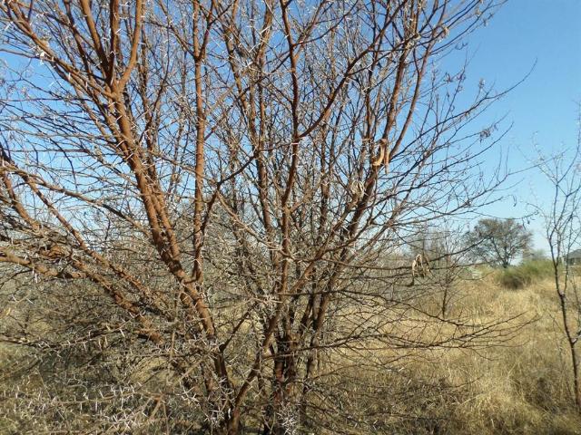 738 m² Land available in Parys Golf Estate