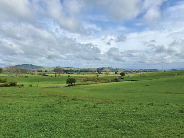 738 Taniwha Road, Waerenga, Waikato