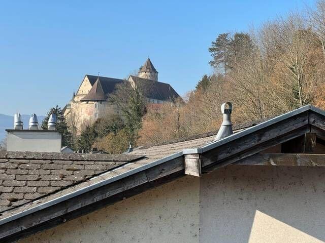 77 m2 lumineux entièrement meublé | dreamo. Ch