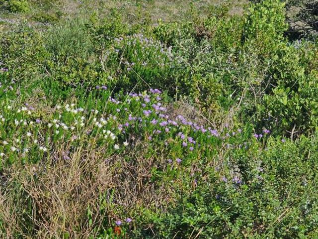 77 m² Land available in Pringle Bay