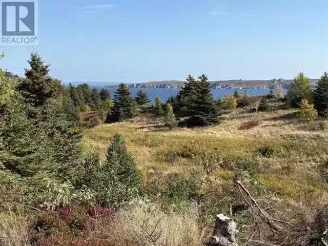 742 744 Water Street, Bay Roberts, NL, A0A 1G0 vacant land f.