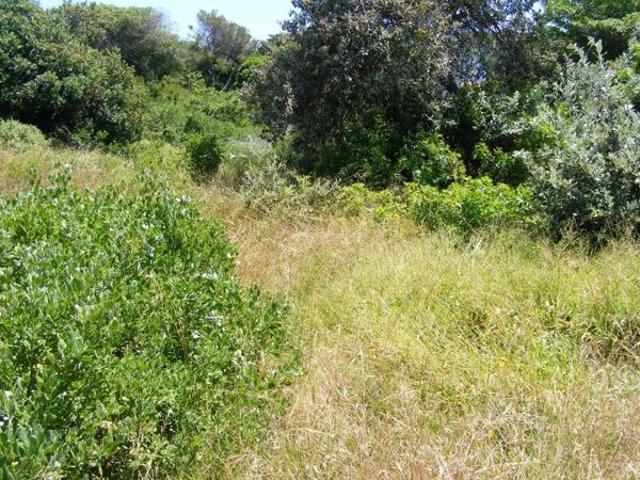 742 m² Land available in Paradise Beach