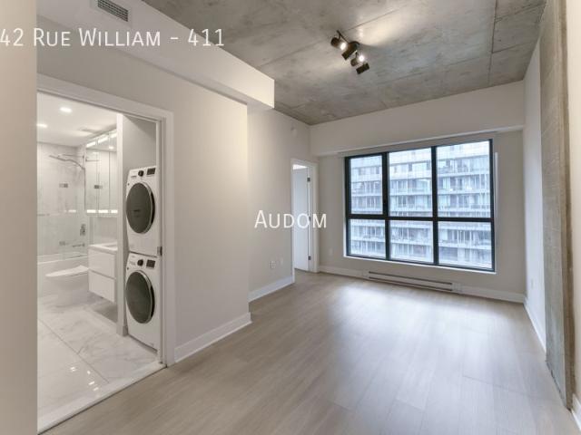 742 Rue William 411