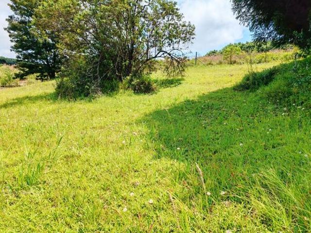 743 m² Land available in Tzaneen