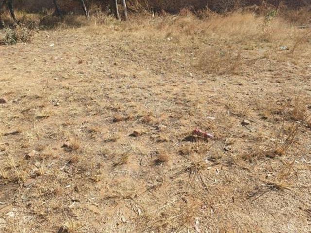743 m² Land available in Pine Ridge