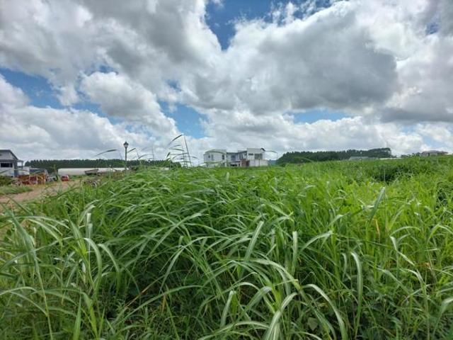 743 m² Land available in Riverside Estate