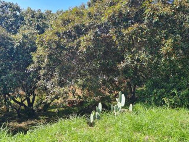 744 m² Land available in Cashan