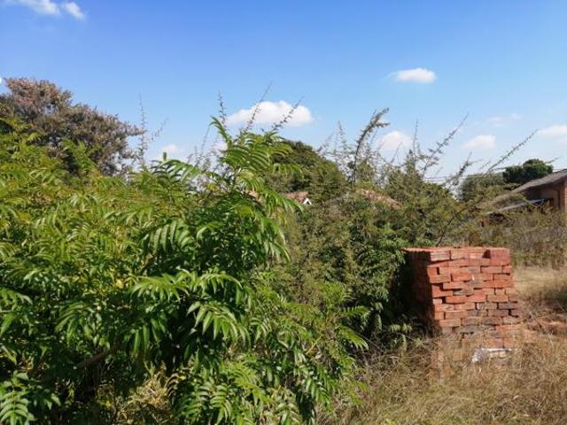744 m² Land available in Flora Park
