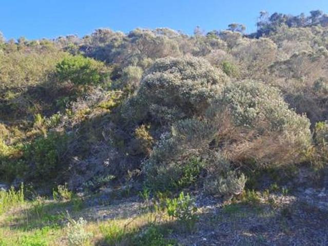 748 m² Land available in Suiderstrand