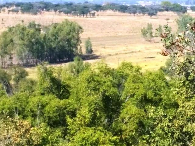 74 ha Farm in Boekenhoutskloof and surrounds