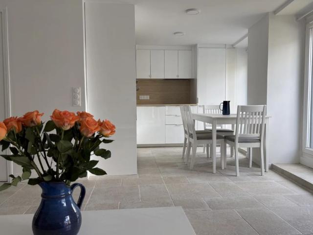 75002/Rue Montmartre: superbe appartement meublé avec terrasse