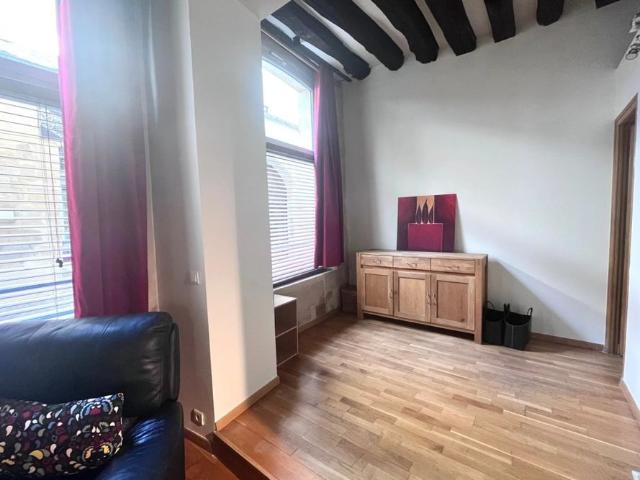 75004/Quartier Saint Merri: vaste et original appartement en souplex