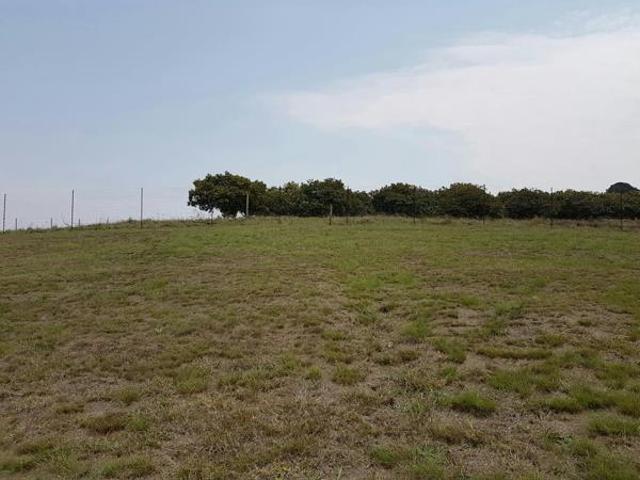 750 m² Land available in Haenertsburg