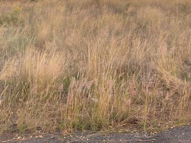 750 m² Land available in Kuruman