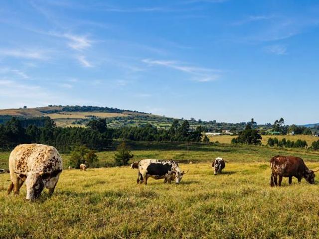 753 m² Land available in St Johns Village