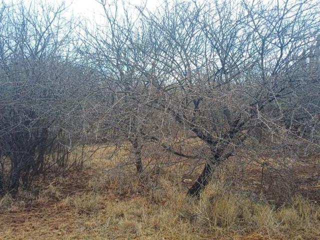 754 m² Land available in Leloko Lifestyle & Eco Estate