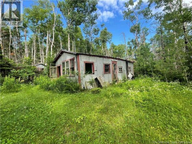 755 Cape Road, Newburg, NB E7N1W5 Land For Sale | RE/MAX | NB129632