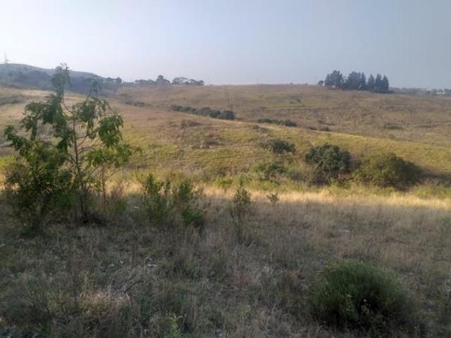 75.5 ha Land available in Stanger Central