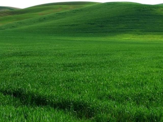75 Acre Plot In Meru